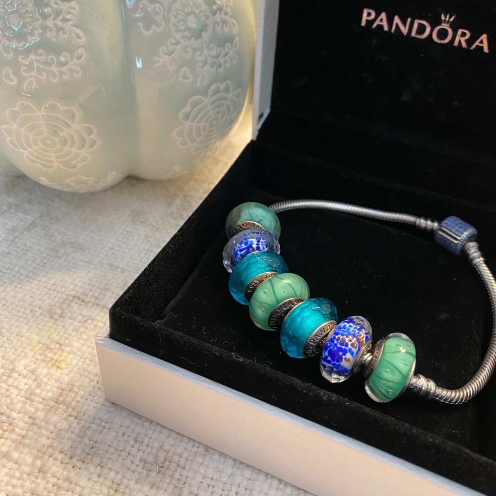 Pandora Charm Bundle